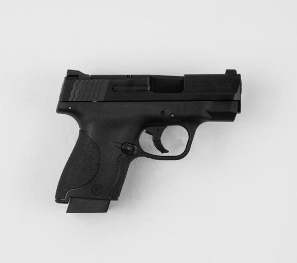 M&P Shield Mount